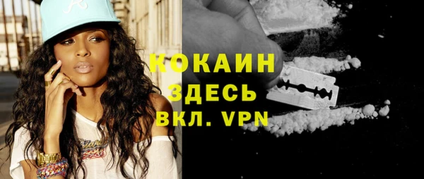 индика Белоозёрский