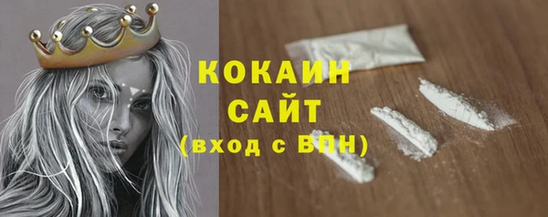 индика Белоозёрский