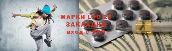индика Белоозёрский