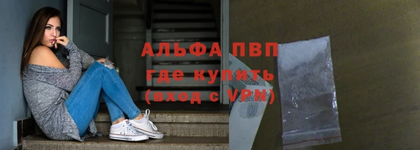 индика Белоозёрский